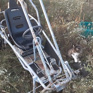 Meet your Posher, Shay